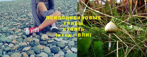 кристаллы Богданович