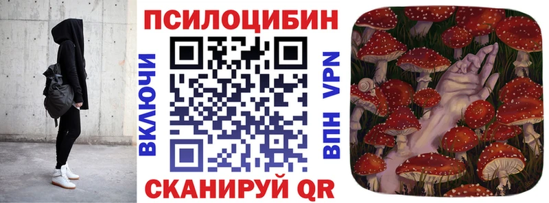 мега вход  Кинель  Псилоцибиновые грибы мицелий 